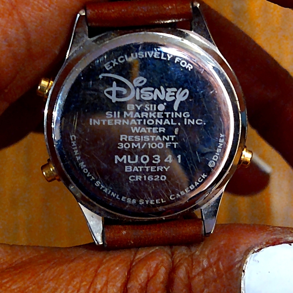 Disney collectors whinnie the pooh digital watch